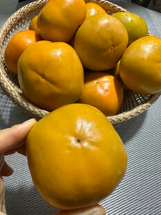 手捧金黄柿子与果篮