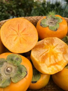 新鲜柿子堆叠展示