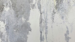 灰白抽象纹理艺术背景图