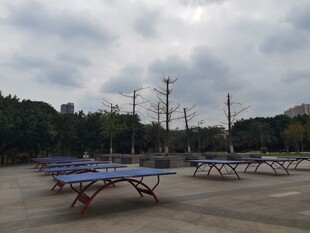 户外空旷处的蓝色乒乓球桌