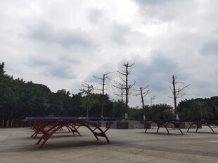 户外空旷场地中的长椅