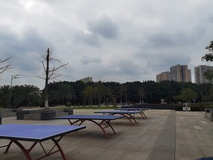 户外空旷处的多张乒乓球桌