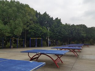 户外空旷处的乒乓球台
