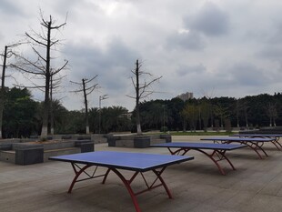 户外空旷处的乒乓球桌