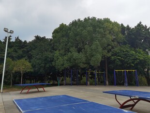 户外蓝乒乓球台及周边景色
