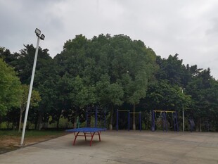 户外空旷的休闲运动场地