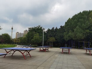 户外空旷处的乒乓球桌