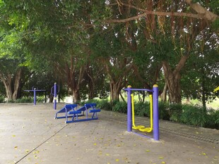 公园中的户外健身器材