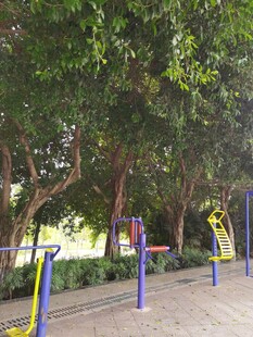 公园中的户外健身设施