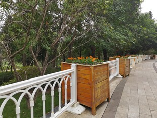 户外木质花箱装点的步道