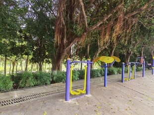 公园中的户外健身器材场景