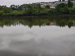 宁静湖水与岸边景致