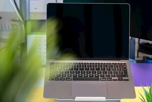 桌上的笔记本电脑与绿植