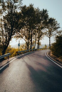 蜿蜒公路旁的葱郁树木