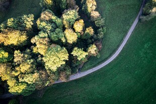 空中俯瞰蜿蜒林间小路