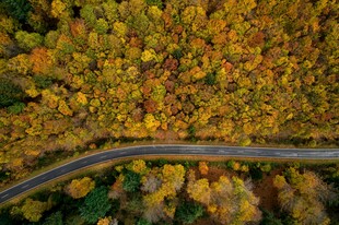 秋日蜿蜒公路的斑斓景致