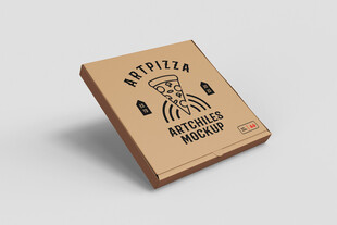 简约风牛皮纸包装设计