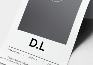 简约DL标识设计展示