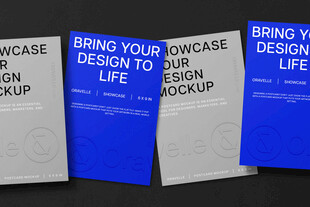 创意蓝色折页设计展示