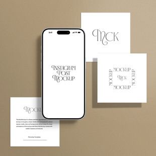 手机与卡片品牌展示样机