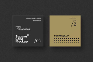 简约名片设计展示