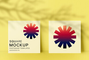 方形图案样机展示