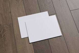 两块白色方形瓷砖样品