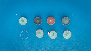 多彩瓶盖排列展示