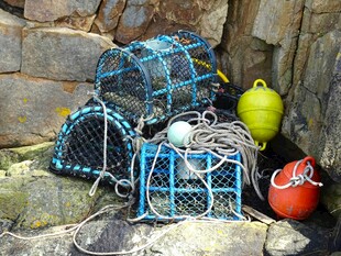 海边的捕龙虾工具