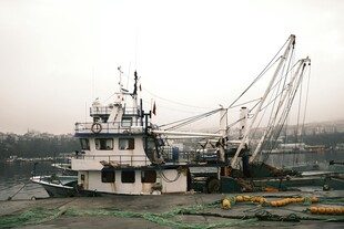 岸边停泊的老旧作业船只