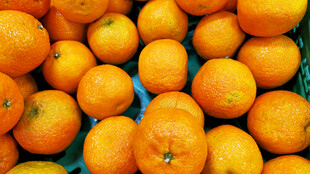 新鲜饱满的橙子堆