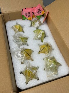 金色星星摆件待售