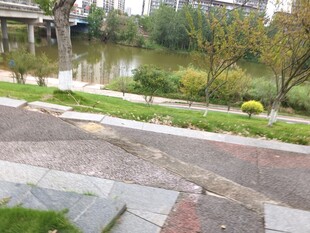 雨后河畔公园景致