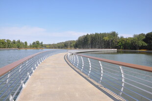 河畔木质栈道风景