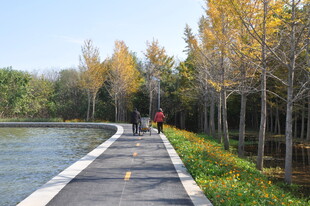 北京朝阳坝河秋日湖畔漫步小道