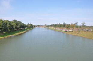 宽阔河流两岸绿树成荫