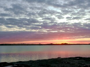 奥克兰海边风景