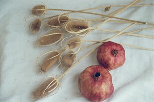 干花与红果的静物组合