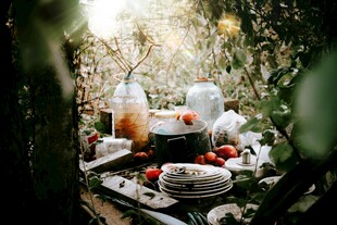 森林中的精致户外野餐场景