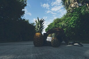 路上的菠萝与摩托车