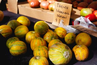 新鲜多彩南瓜堆在摊位上