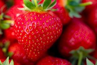 新鲜诱人的成熟草莓