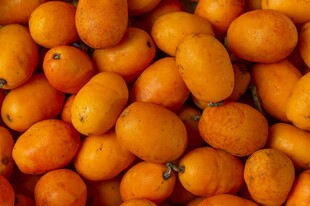 饱满诱人的橙黄色枇杷