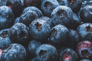 饱满蓝莓 尽显新鲜诱人
