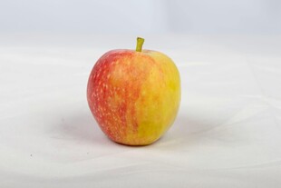 红黄相间的新鲜苹果