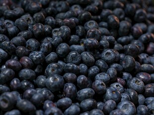 饱满蓝莓果实特写