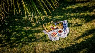 草地上的多彩蝴蝶摆件