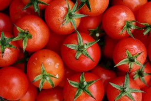 饱满鲜红的成熟小番茄