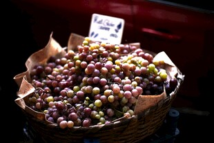 篮子里的多彩葡萄
