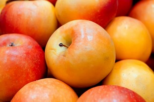 新鲜饱满的多彩苹果